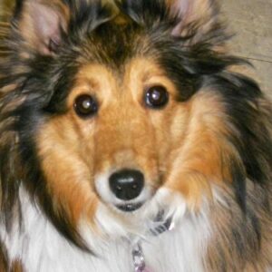 Abby