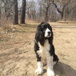 Bella Regal on Trail