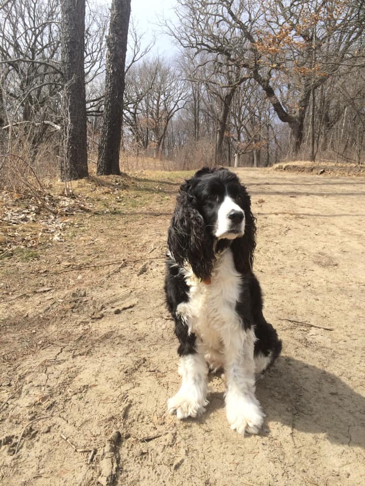 Bella Regal on Trail Bella Regal on Trail