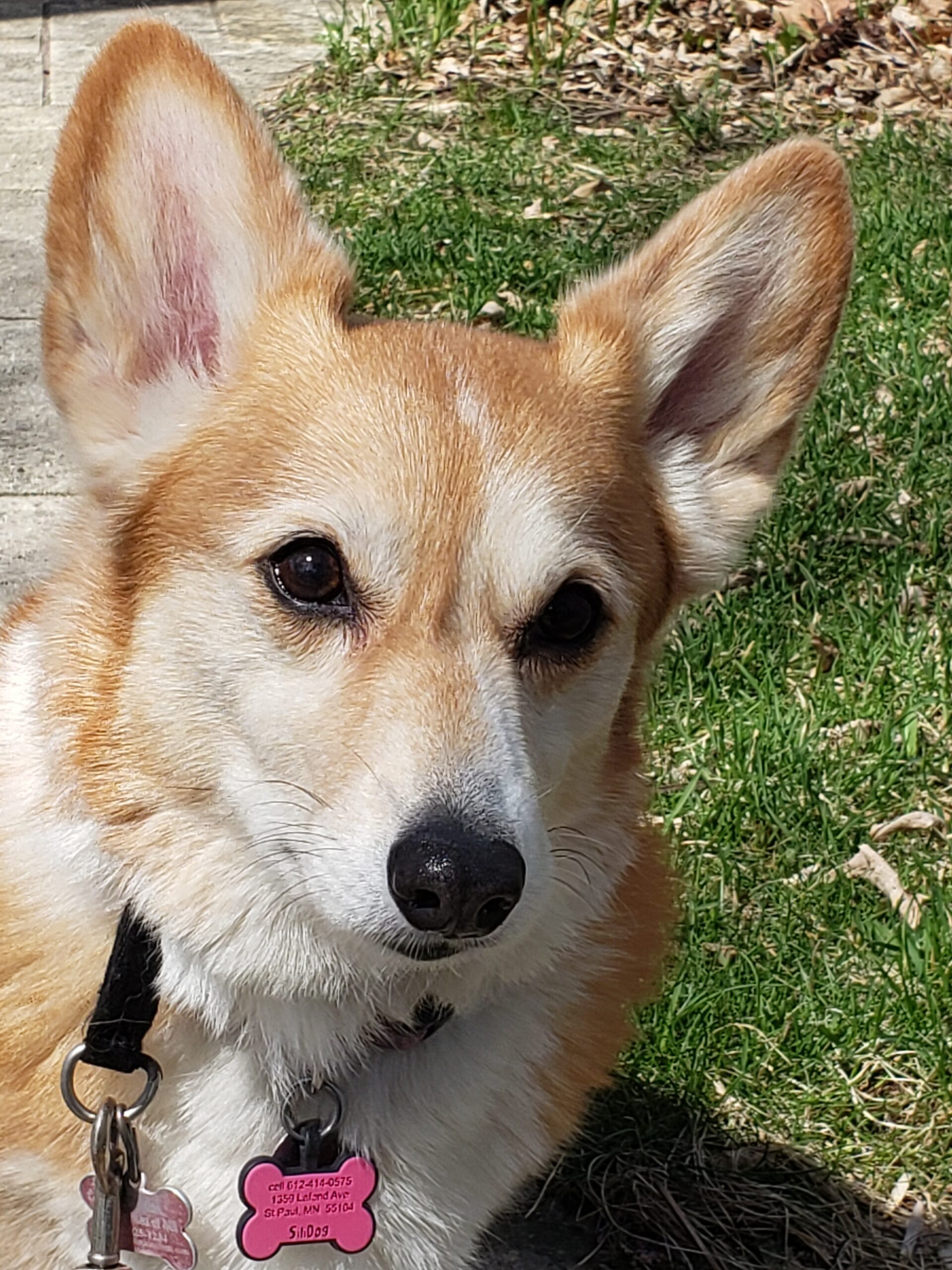 Callie 04.26.19_B Callie 04.26.19_B