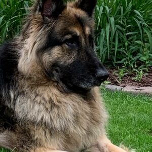 Greta July 2020