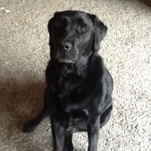 Maggie