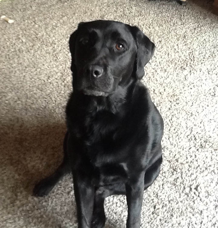 Maggie Maggie