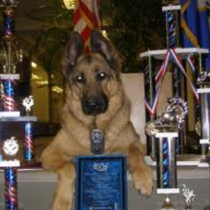 Major