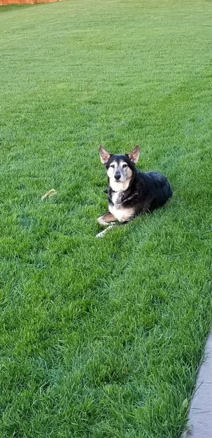 Milo Kolb Milo Kolb
