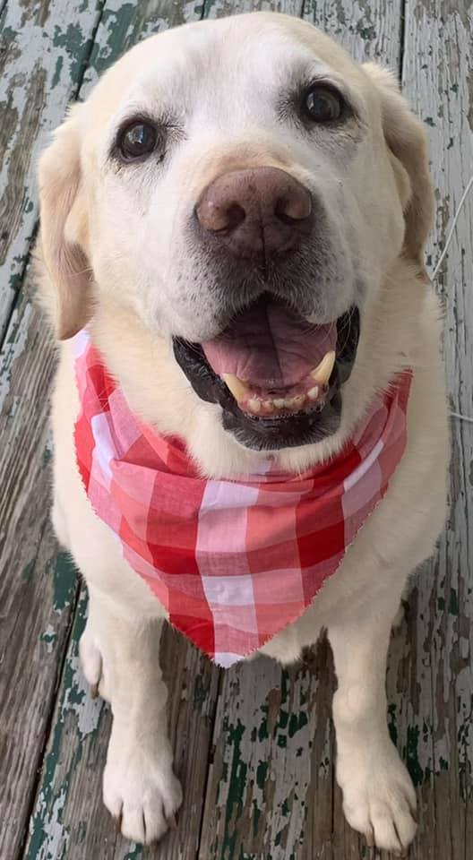 Riley boy Riley boy