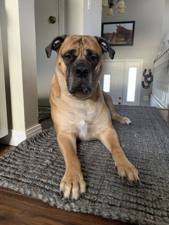 Roscoe Mason Roscoe Mason