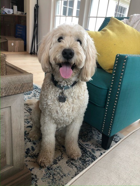 cooper benson cooper benson