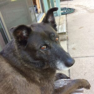 loki