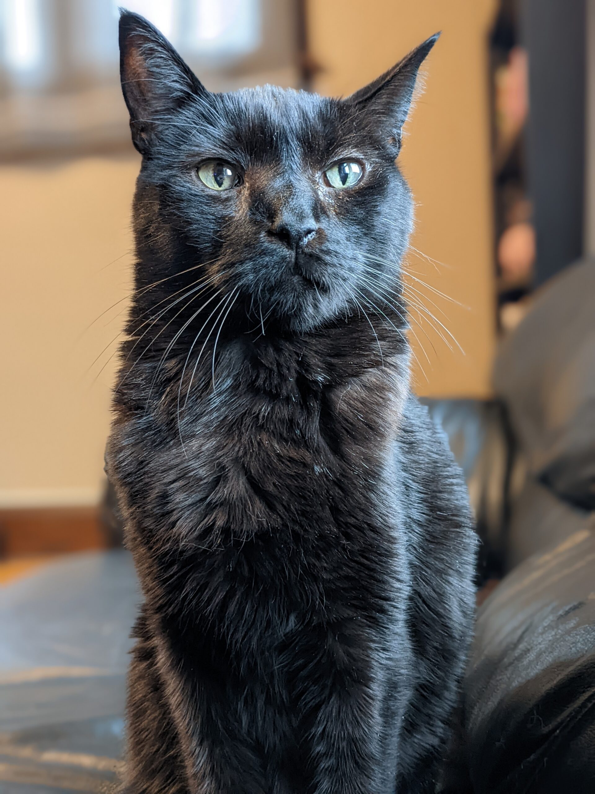 luci 2 luci 2