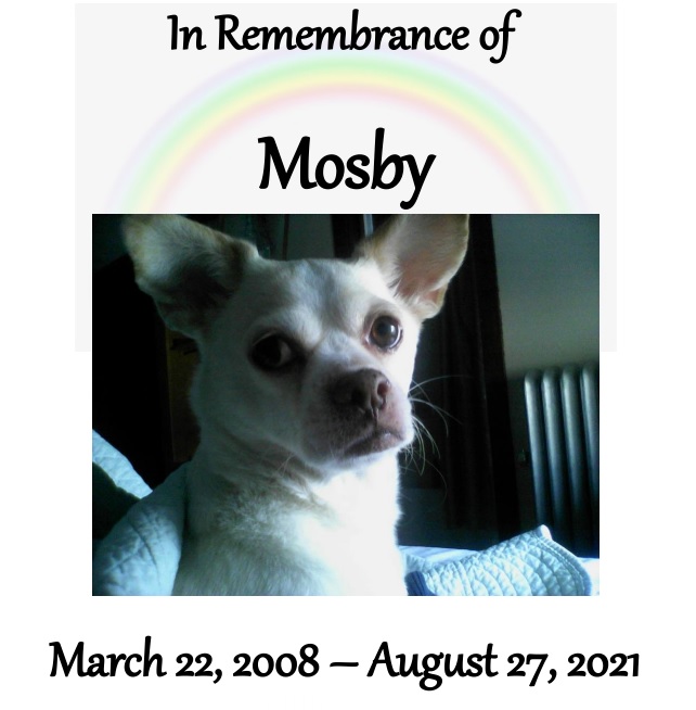 mosby