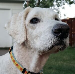ruby