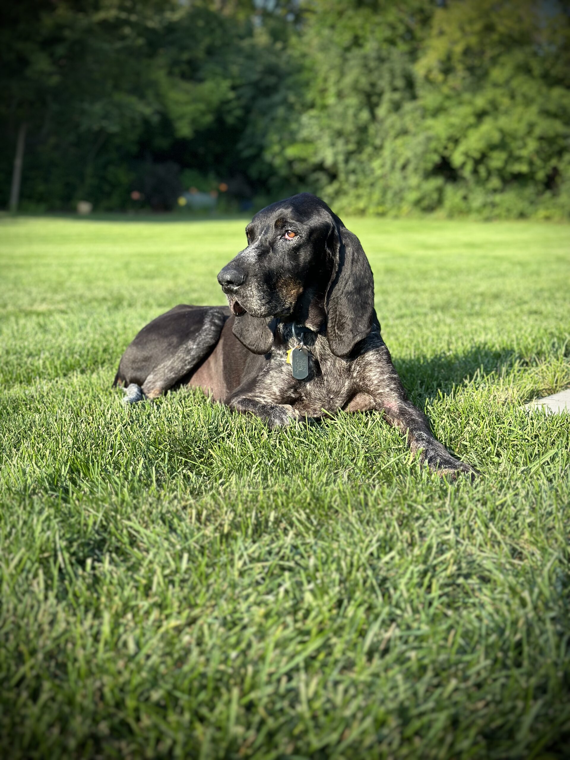 winston winston